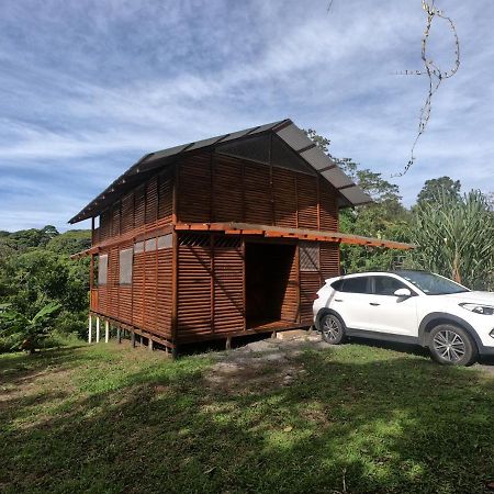 Eco Guest House - Sarapiqui 1 Exterior foto