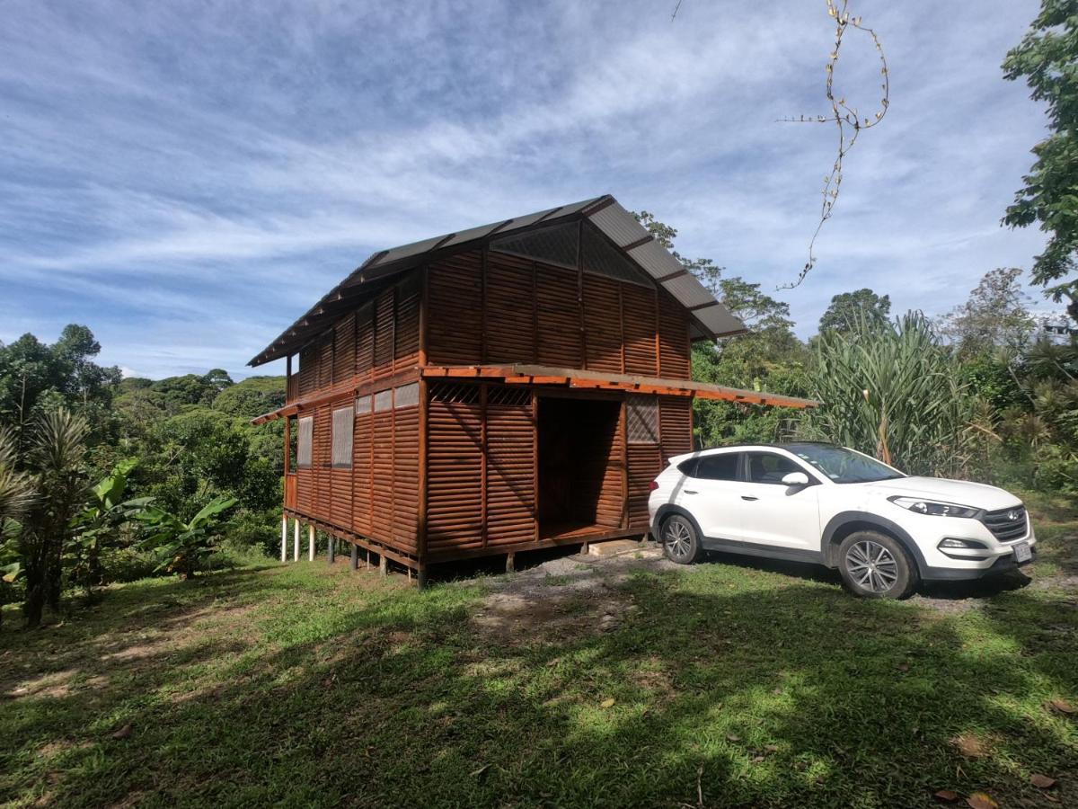 Eco Guest House - Sarapiqui 1 Exterior foto